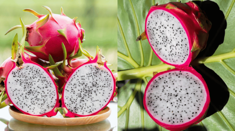 Is Dragon Fruit Keto